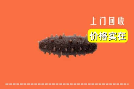 龙湖区回收海参