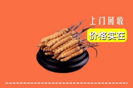 龙湖区回收冬虫夏草