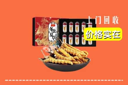 龙湖区回收虫草