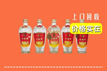 龙湖区回收老五粮液